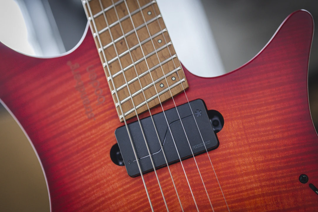 .strandberg* POWR:D BY FISHMAN ピックアップ